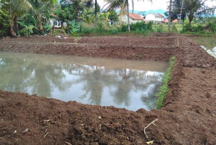 Pengaturan air kolam