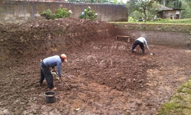 Cara Budidaya Ikan Nila DI Kolam Tanah Bagi Pemula (100% Berhasil)