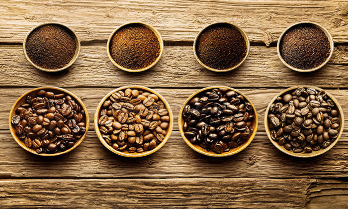 Budidaya Kopi : Panduan Lengkap Hasil Melimpah