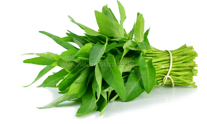 Kangkung