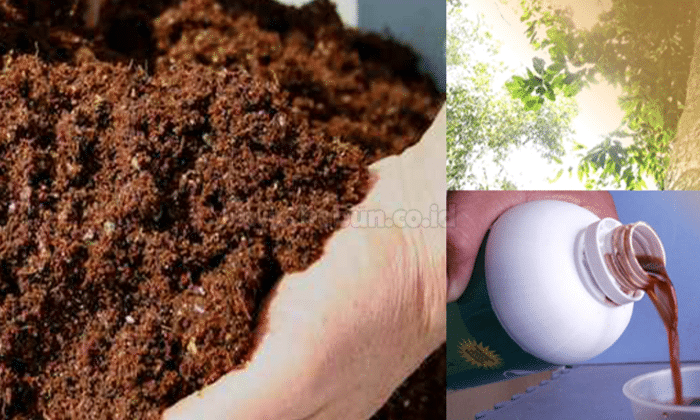 Pupuk Hayati : Pengertian, Fungsi dan Macamnya