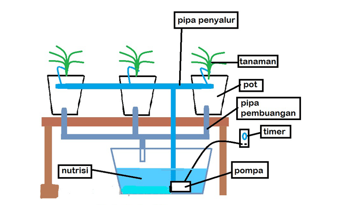 Cara Budidaya Tanaman Dengan Sistem  Aeroponik 
