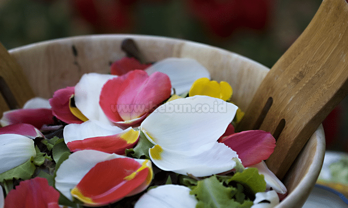 Bunga Yang Bisa Dimakan “Edible Flower” dan Manfaatnya