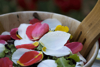 Bunga Yang Bisa Dimakan “Edible Flower” dan Manfaatnya