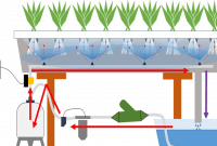Cara Budidaya Tanaman Dengan Sistem Aeroponik