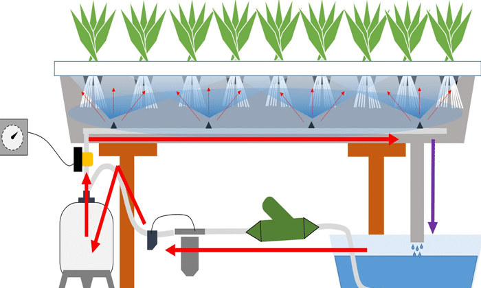 Cara Budidaya Tanaman Dengan Sistem Aeroponik