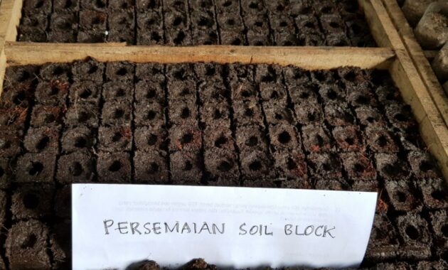 Persemaian Soil Block