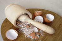 Manfaat Cangkang Telur