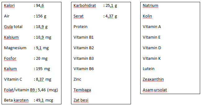 Kandungan Buah Apel