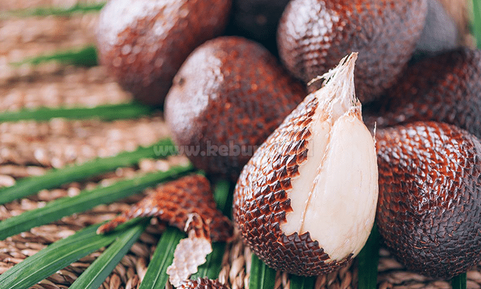 Manfaat Buah Salak Bagi Kesehatan Tubuh Anda